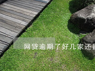 网贷逾期了好几家还能贷出款吗 网贷逾期了好几家还能贷出款吗