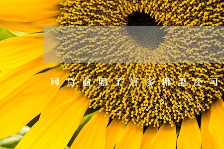网贷逾期了好多哪里还可以继续贷