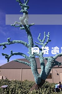 网贷逾期了好烦
