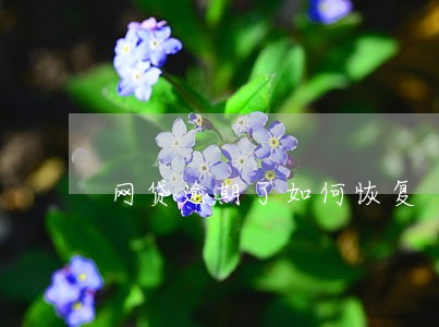 网贷逾期了如何恢复 网贷逾期了如何恢复