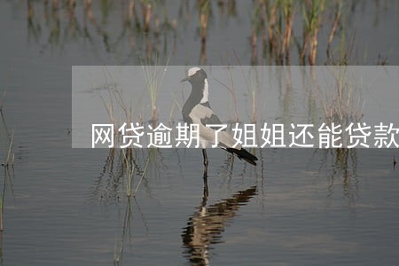 网贷逾期了姐姐还能贷款吗 网贷逾期了姐姐还能贷款吗