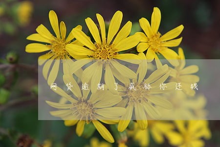 网贷逾期了威胁你还钱