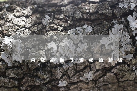 网贷逾期了害怕被起诉 网贷逾期了害怕被起诉