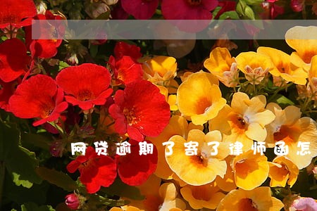 网贷逾期了寄了律师函怎么办 网贷逾期了寄了律师函怎么办