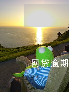 网贷逾期了对 网贷逾期了对