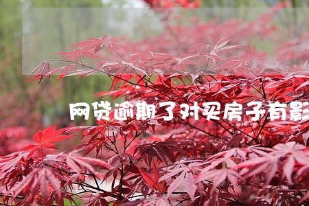 网贷逾期了对买房子有影响吗 网贷逾期了对买房子有影响吗