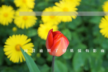 网贷逾期了对低保有影响吗 网贷逾期了对低保有影响吗