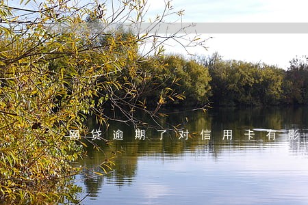 网贷逾期了对信用卡有影响吗 网贷逾期了对信用卡有影响吗