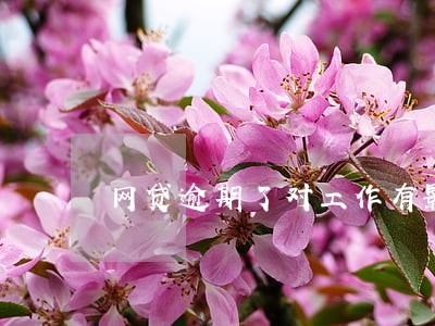 网贷逾期了对工作有影响吗 网贷逾期了对工作有影响吗