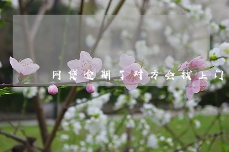 网贷逾期了对方会找上门吗 网贷逾期了对方会找上门吗