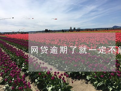 网贷逾期了就一定不能房贷 网贷逾期了就一定不能房贷