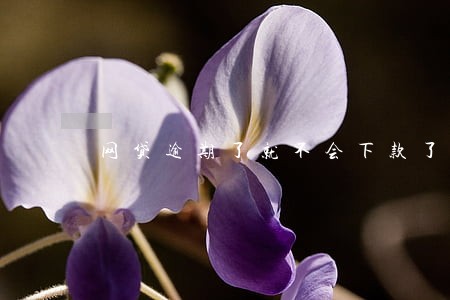 网贷逾期了就不会下款了 网贷逾期了就不会下款了
