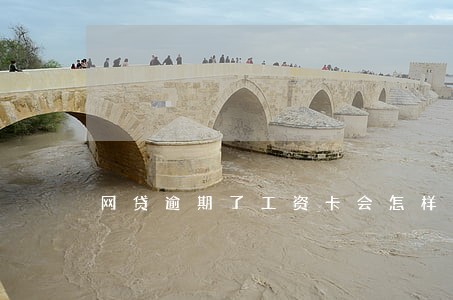 网贷逾期了工资卡会怎样 网贷逾期了工资卡会怎样