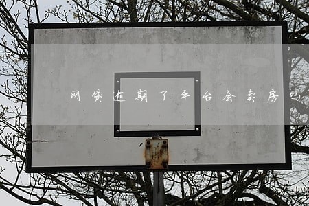 网贷逾期了平台会卖房吗 网贷逾期了平台会卖房吗