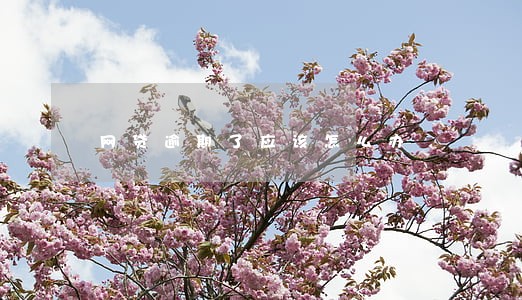 网贷逾期了应该怎么办 网贷逾期了应该怎么办