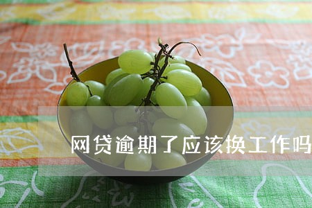 网贷逾期了应该换工作吗