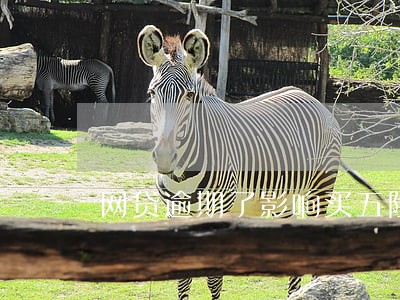 网贷逾期了影响买五险一金吗 网贷逾期了影响买五险一金吗