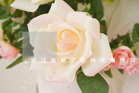 网贷逾期了影响使用借呗吗 网贷逾期了影响使用借呗吗