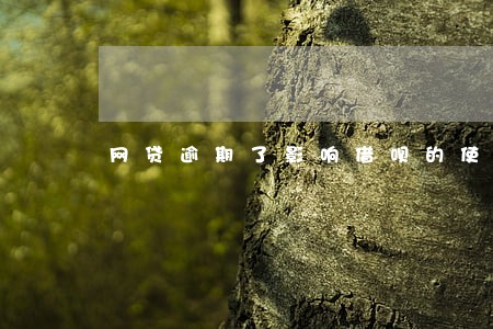 网贷逾期了影响借呗的使用么 网贷逾期了影响借呗的使用么