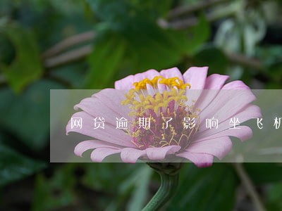 网贷逾期了影响坐飞机 网贷逾期了影响坐飞机