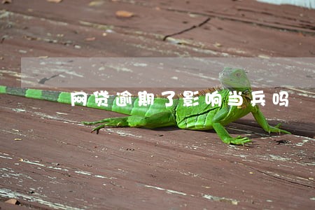 网贷逾期了影响当兵吗 网贷逾期了影响当兵吗