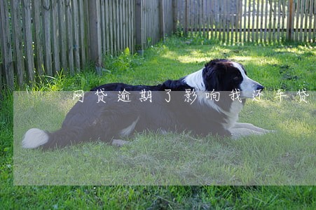 网贷逾期了影响我还车贷