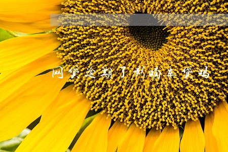 网贷逾期了影响车贷吗 网贷逾期了影响车贷吗