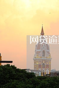 网贷逾期了很多