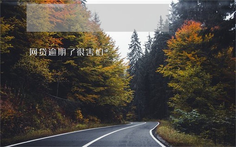 网贷逾期了很害怕 网贷逾期了很害怕