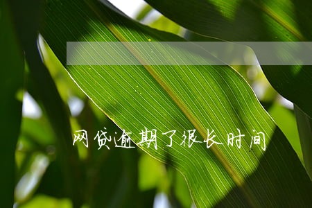 网贷逾期了很长时间 网贷逾期了很长时间