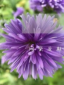 网贷逾期了怎么保住利益 网贷逾期了怎么保住利益