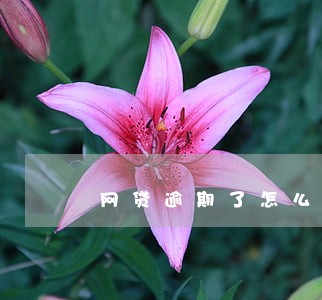 网贷逾期了怎么做 网贷逾期了怎么做