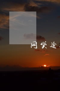 网贷逾期了怎么做分期 网贷逾期了怎么做分期