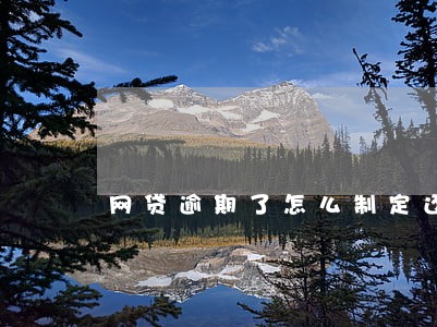 网贷逾期了怎么制定还款计划