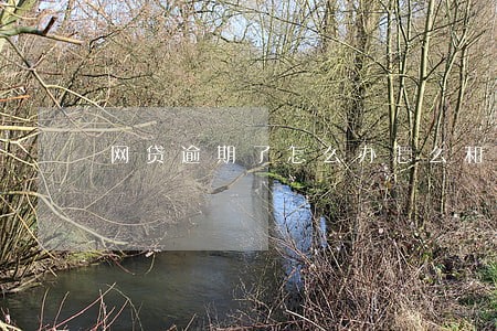 网贷逾期了怎么办怎么和银行协商 网贷逾期了怎么办怎么和银行协商
