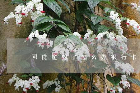 网贷逾期了怎么办银行卡 网贷逾期了怎么办银行卡