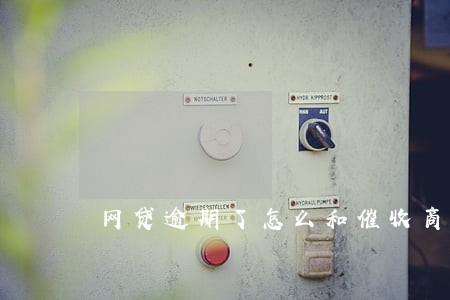 网贷逾期了怎么和催收商量 网贷逾期了怎么和催收商量