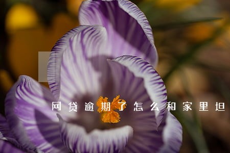 网贷逾期了怎么和家里坦白 网贷逾期了怎么和家里坦白