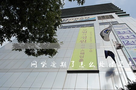 网贷逾期了怎么处理还本金 网贷逾期了怎么处理还本金