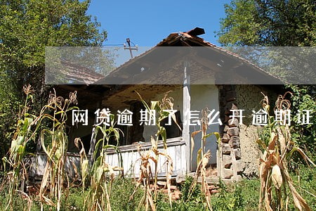 网贷逾期了怎么开逾期证明 网贷逾期了怎么开逾期证明