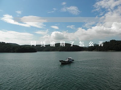 网贷逾期了怎么弄 网贷逾期了怎么弄