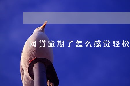 网贷逾期了怎么感觉轻松了 网贷逾期了怎么感觉轻松了