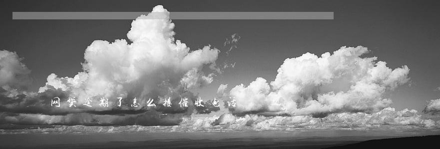 网贷逾期了怎么接催收电话 网贷逾期了怎么接催收电话