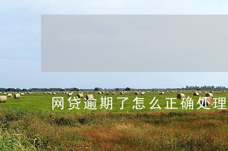 网贷逾期了怎么正确处理 网贷逾期了怎么正确处理