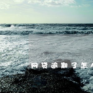 网贷逾期了怎么没人打电话 网贷逾期了怎么没人打电话