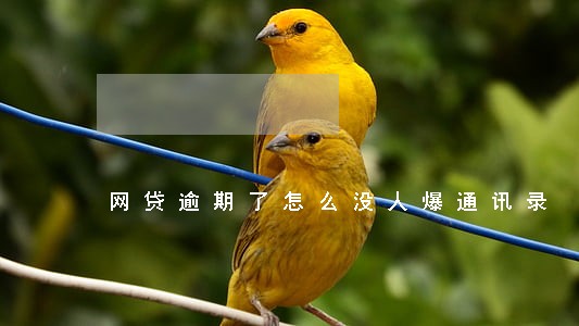 网贷逾期了怎么没人爆通讯录 网贷逾期了怎么没人爆通讯录