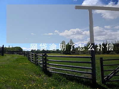 网贷逾期了怎么补偿 网贷逾期了怎么补偿