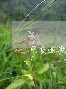网贷逾期了怎么规划 网贷逾期了怎么规划