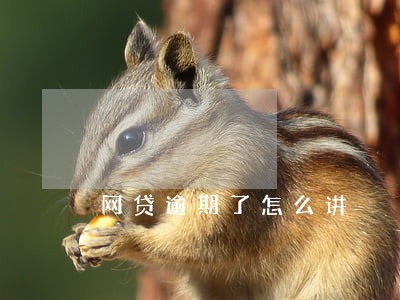 网贷逾期了怎么讲 网贷逾期了怎么讲