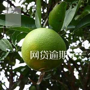 网贷逾期了怎么还钱快 网贷逾期了怎么还钱快